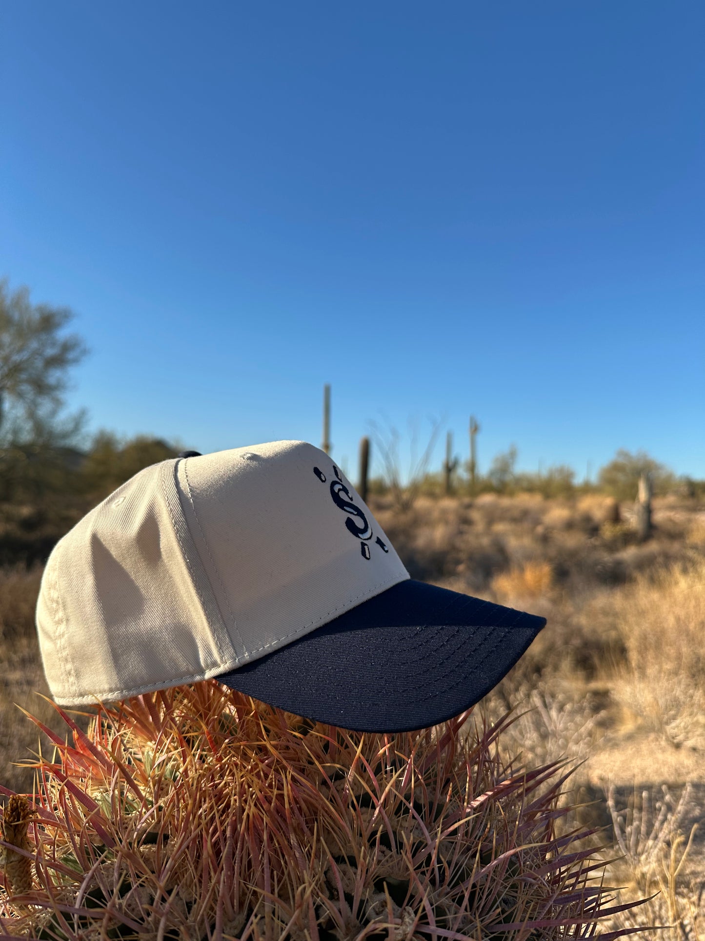 Mid Profile Schreiner Logo Hat