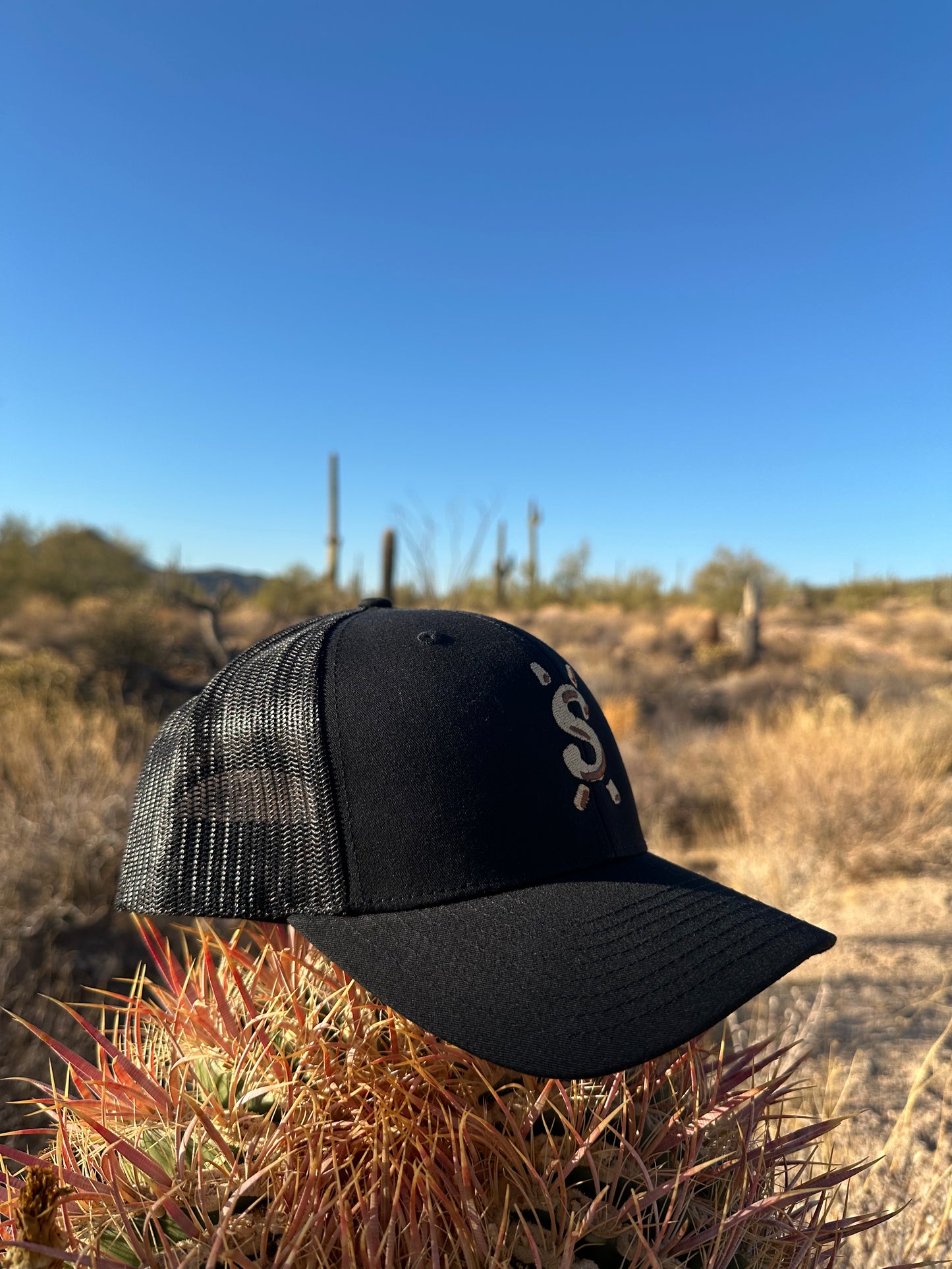 Richardson Style Schreiner Logo Hat